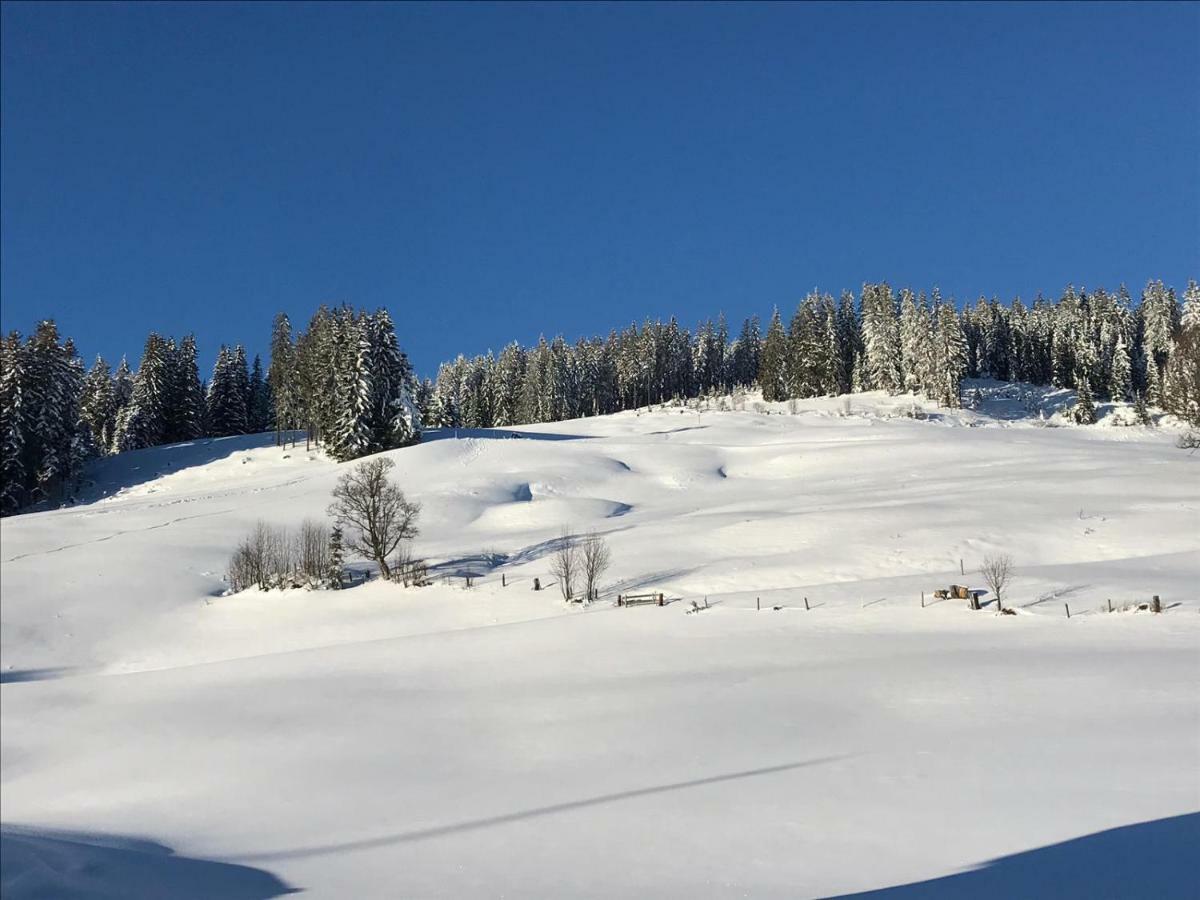 Bergpension Zinting Brixen im Thale Bagian luar foto